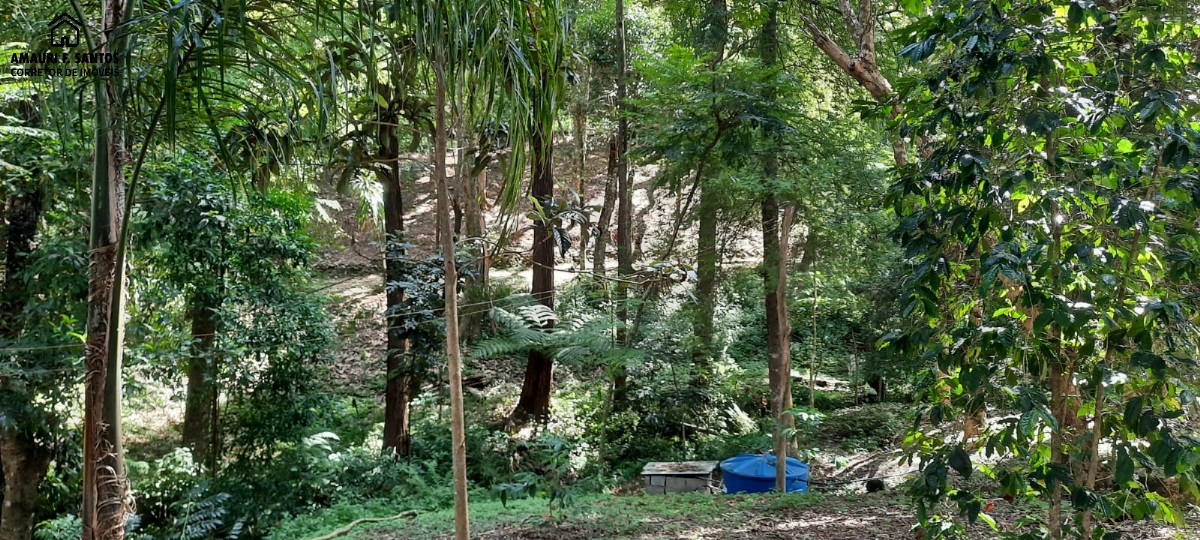 Sítio em , São Roque - Foto 6
